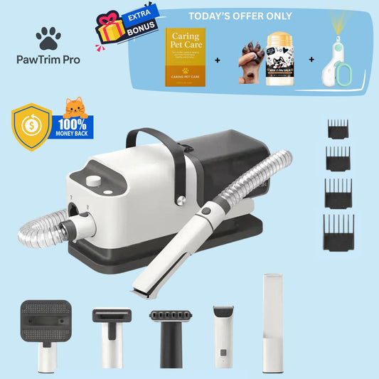 🐾 Everything You Need to Groom Your Pet at Home 🐶✂️