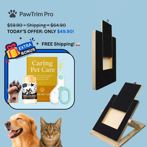 PawFile™ Dog Nail Scratch Board