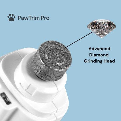 Nail Care That Doesn't Stress You or Your Pet 🐾