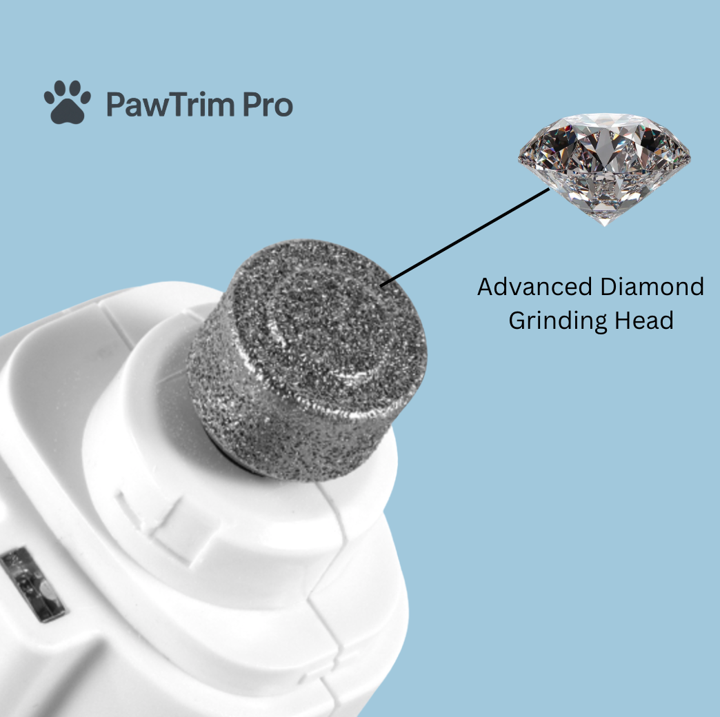 🐾 Nail Care That Doesn't Stress You or Your Pet.