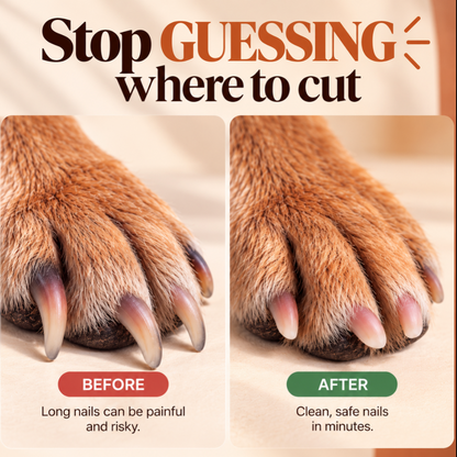 🐾 Nail Care That Doesn't Stress Your Pet