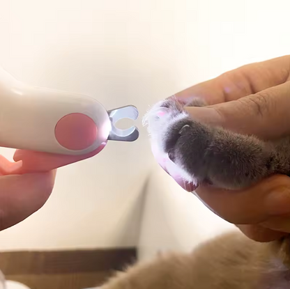LED Clippers: Stress-free trims with perfect precision ✨🐾
