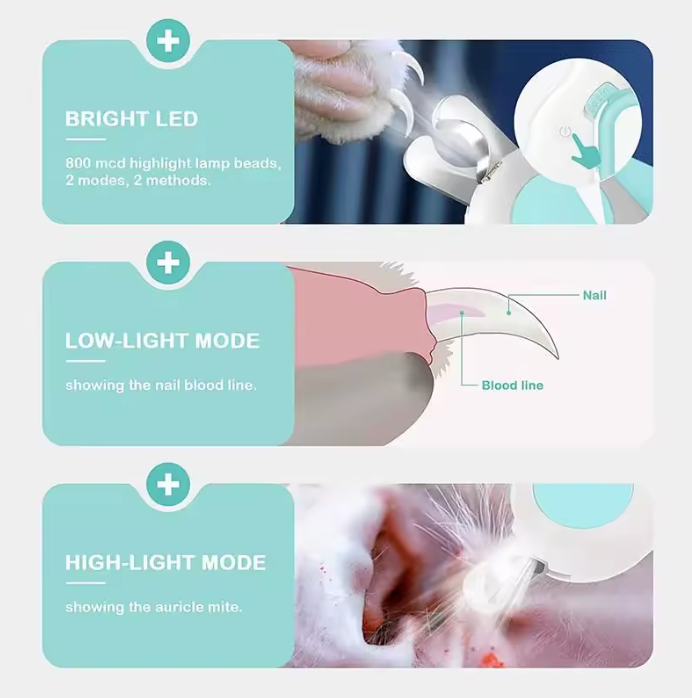 LED Clippers: Stress-free trims with perfect precision ✨🐾