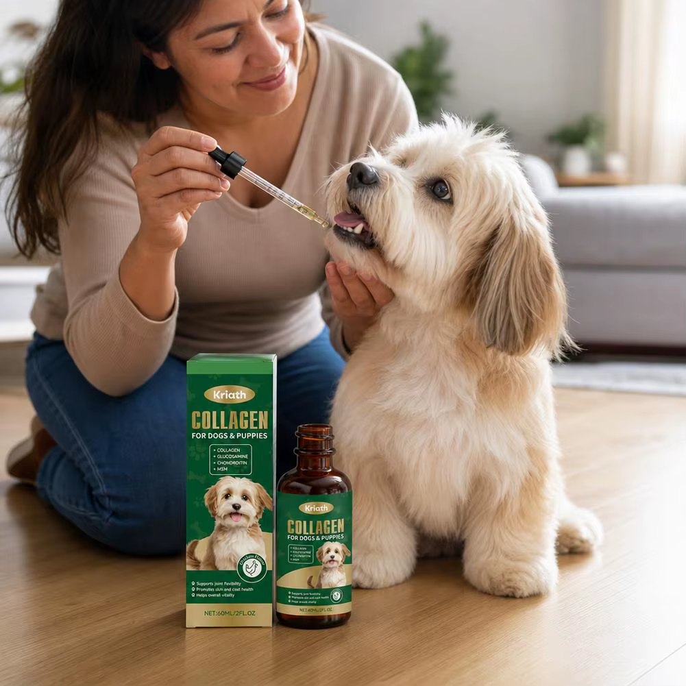 Pet parent giving collagen drops to her dog
