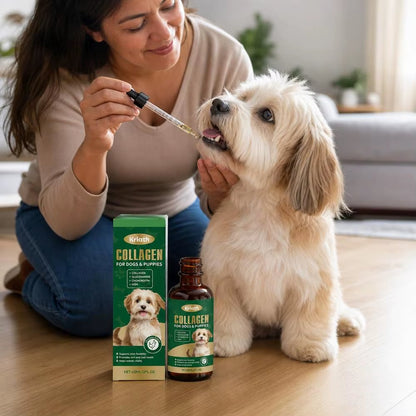 Pet parent giving collagen drops to her dog