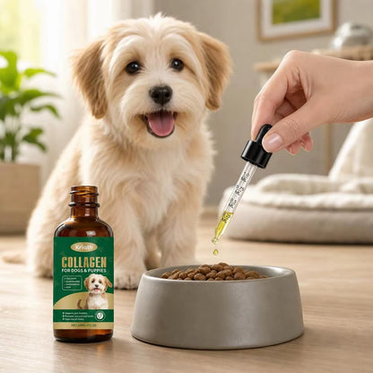Adding collagen drops to dry dog food